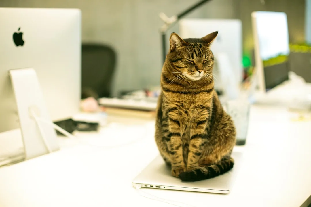 successful executive assistant