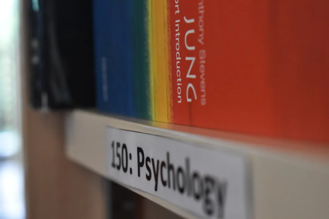 adult psychology development