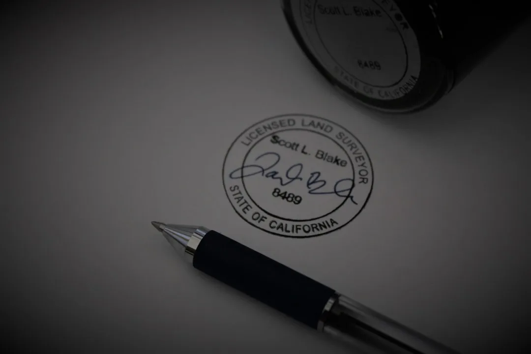 professional portfolio website