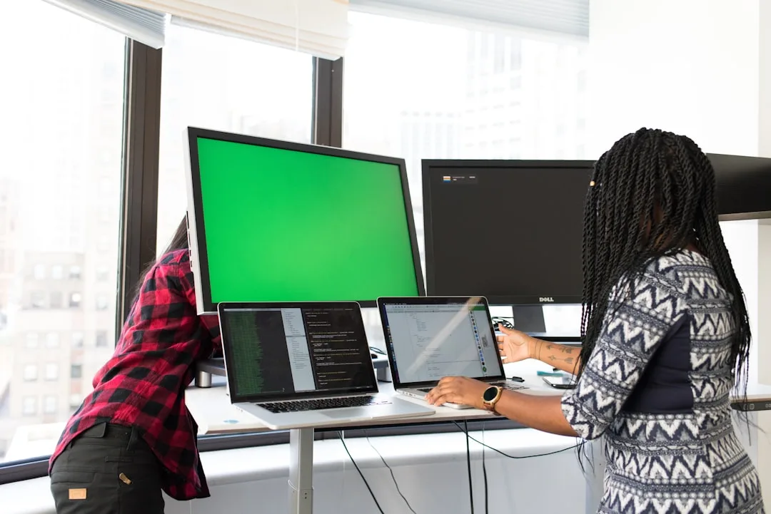 accountant working with software