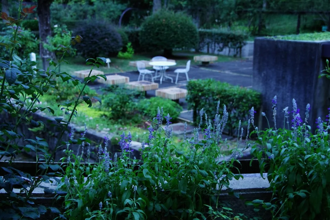 vegetable garden planning